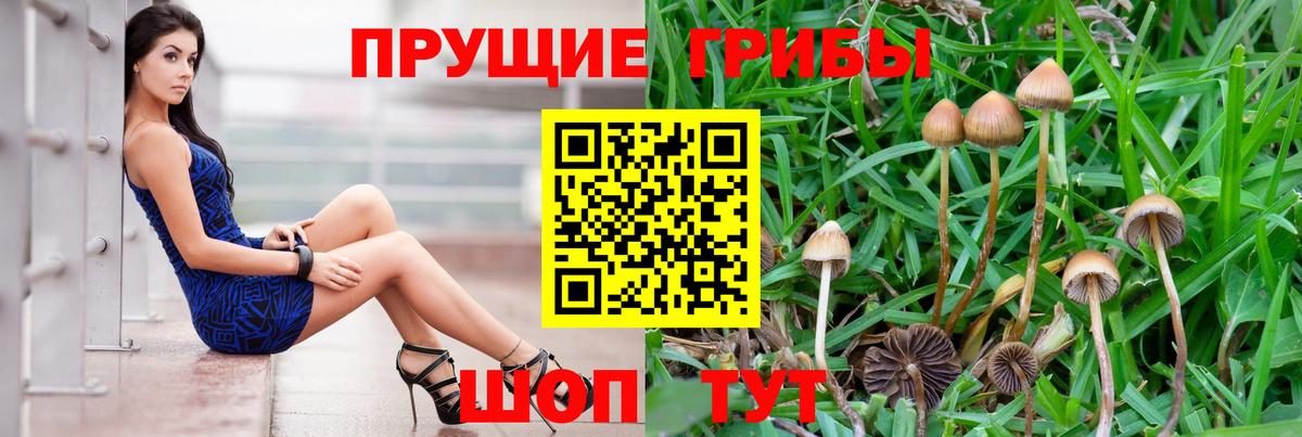 Псилоцибиновые грибы Psilocybine cubensis  Галлюциногенные грибы Psilocybine cubensis  Вход с VPN  Краснокаменск 